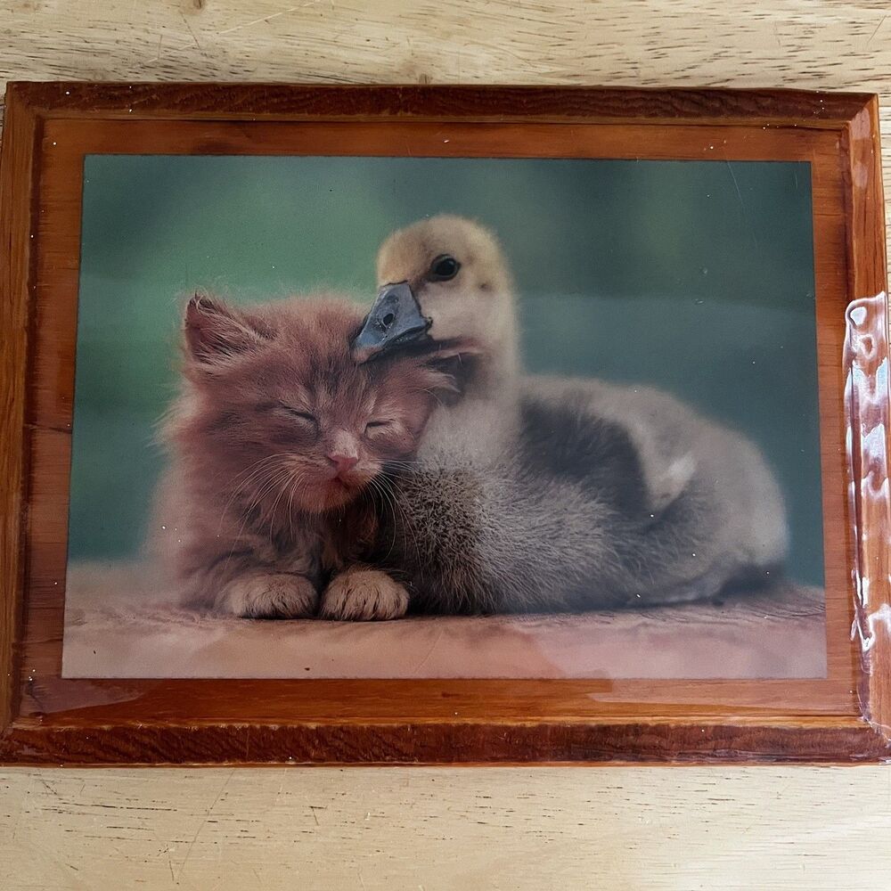 Lacquered Wood Wall Plaque – Cute Kitten & Duckling Friendship Print Grannycore